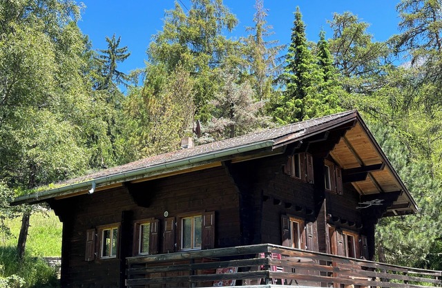 Cozy chalet in the mountains