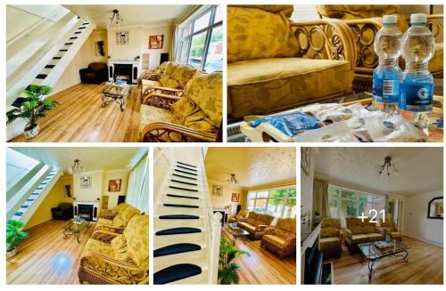 Cozy Comfort Home