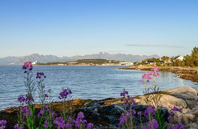 Cozy cottage near the Lofoten Islands.