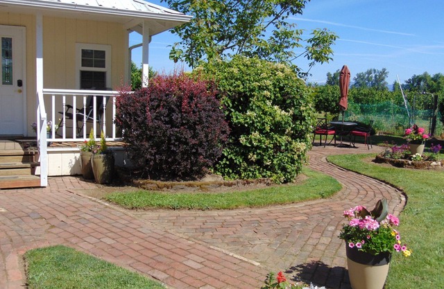 Cozy Cottage on family hazelnut farm in beautiful Willamette Valley