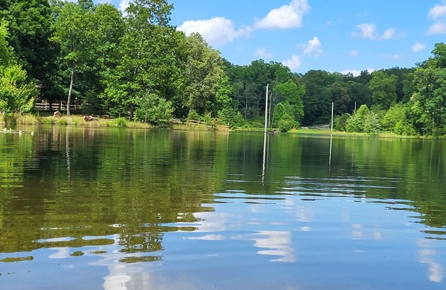 Cozy cottage on our private lake and 75 wooded acres