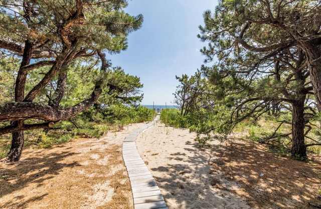 Cozy cottage with large, shared oceanfront lot, just a pathway away from the sandy beach