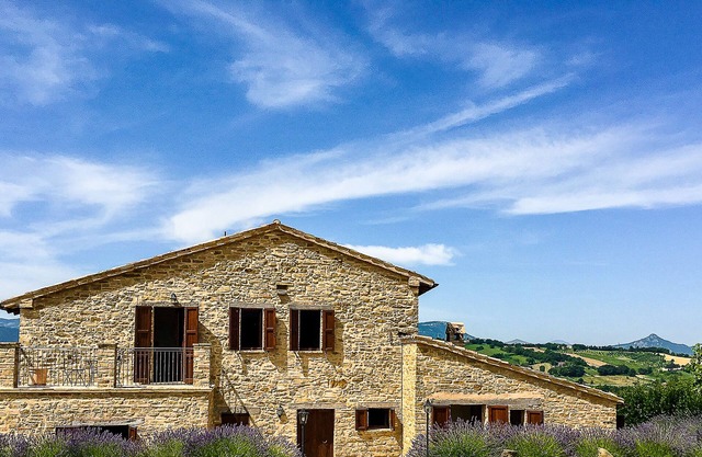 Cozy country house with infinity pool and surrounded by sunflowers .