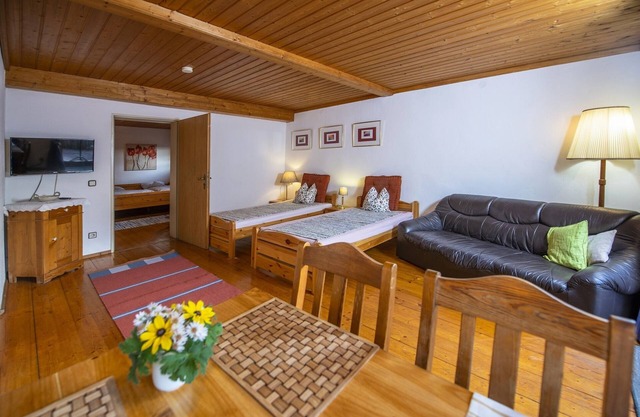 Cozy vacation apartment (55sqm) with living room/bedroom and terrace