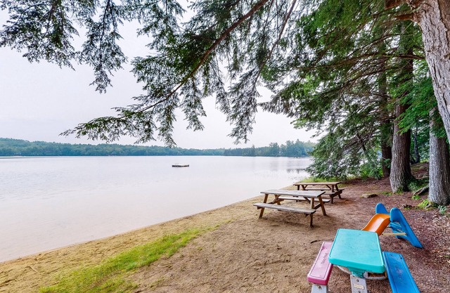 Cozy dog-friendly home w/deck, fireplace, & forest views - very kid friendly
