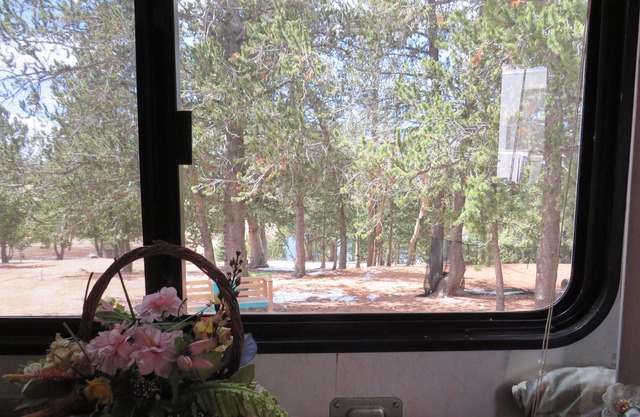 Cozy Explorer at the Enchanted Forest 5-7 mins from historic downtown & casinos!