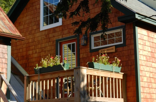 Cozy family and pet friendly home in North Conway Village
