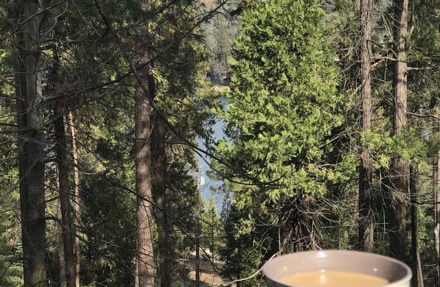 Cozy, family-friendly cabin in a gated lake resort near Yosemite!