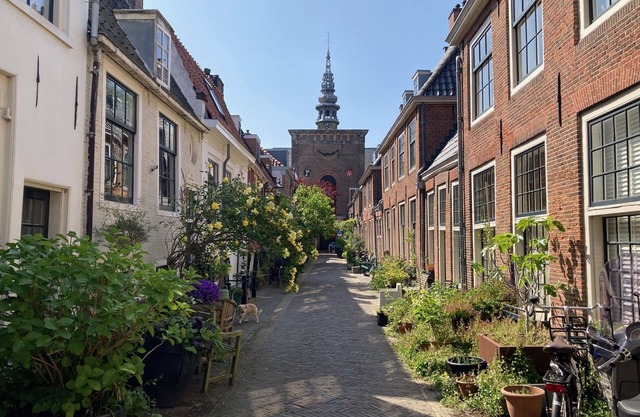 Cozy family house from 1900 in the old center of Haarlem