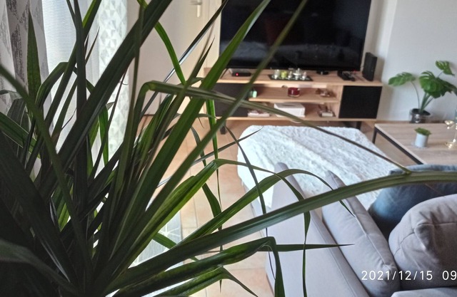 Cozy Appart