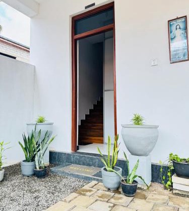 Cozy Haven Guesthouse