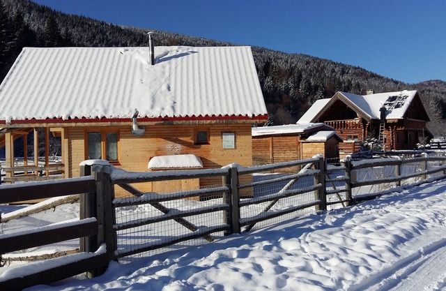 cozy holiday home in Transylvania - Carpathian - Transylvania