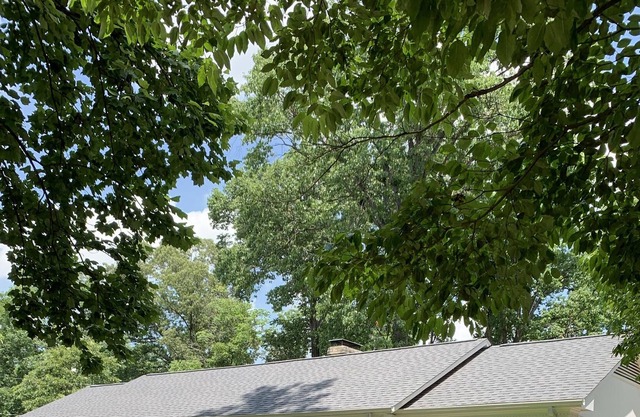 Cozy Home in Quiet Neighborhood - 10 Minutes to Downtown