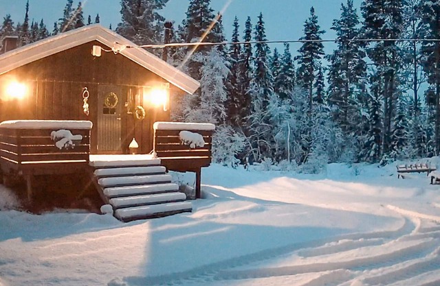Cozy home in Vinje with WiFi