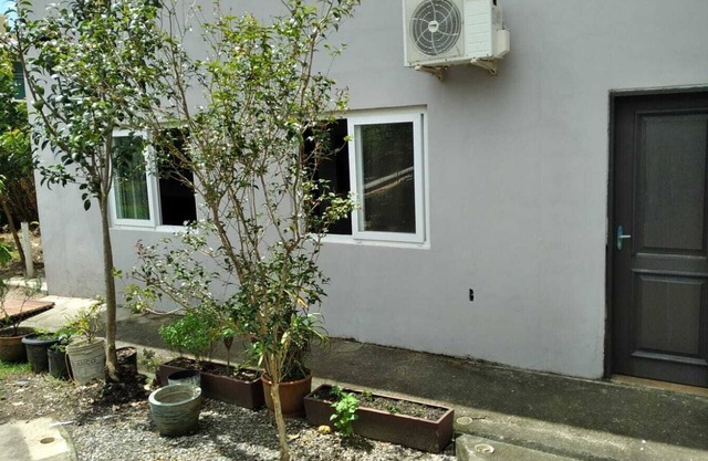 Cozy house 500 meters from Campeche beach, pet friendly.