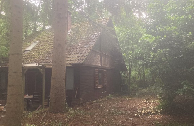 Cozy hut on an idyllic forest property