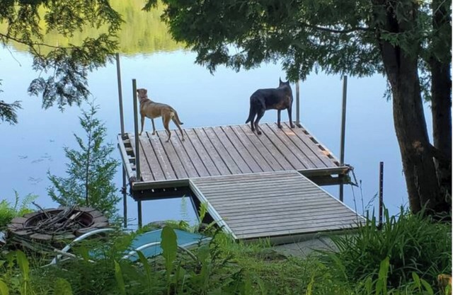 Cozy lakefront cottage - 15 minutes from Tremblant