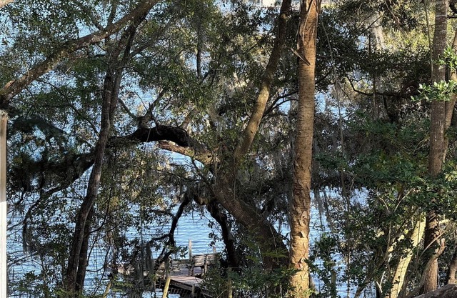 Cozy lakefront equestrian cabin near enchanting Mt Dora