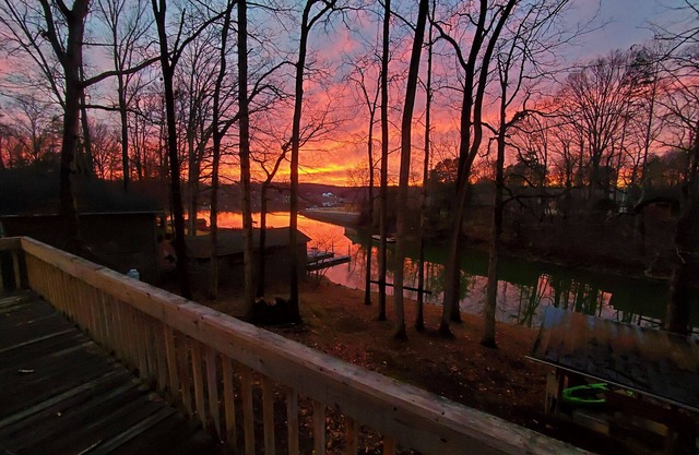 Cozy Lakeside Bungalow 3 Patios, Kayaks, Firepit & Dogs Allowed!