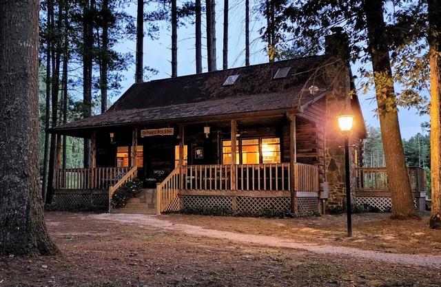 Cozy log cabin with modern amenities and a park view!
