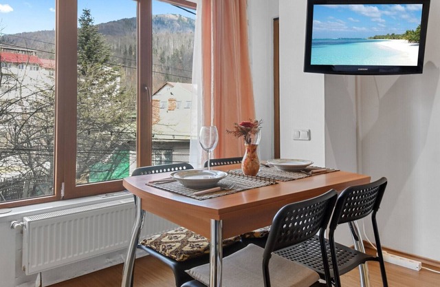 Cozy Mountain Little Studio