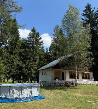 Cozy Mountain Stay near Kranjska Gora