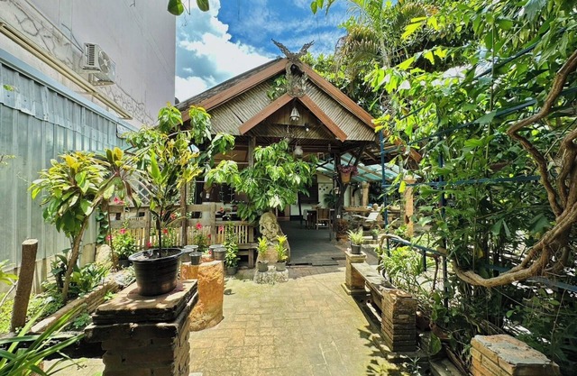 Cozy nest CNX
