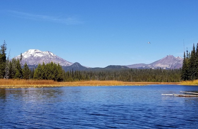 Cozy NW Escape Close To River Access.Dog Friendly /Hot Tub