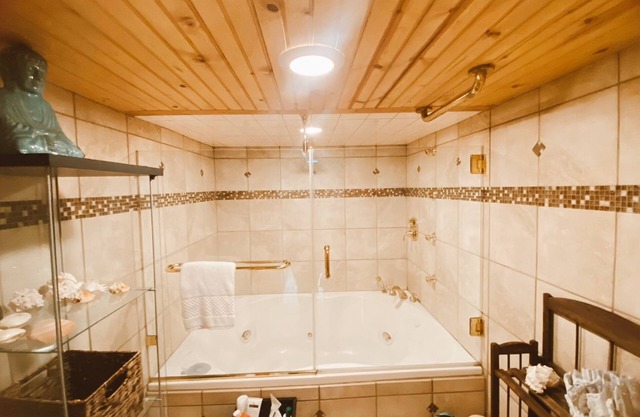 Cozy, Quiet and Private, Giant Jacuzzi Tub, 25 minutes to Asheville & Cherokee