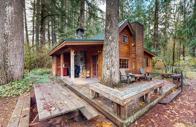 Cozy riverfront cabin with wood-burning fireplace, lovely deck, and washer/dryer