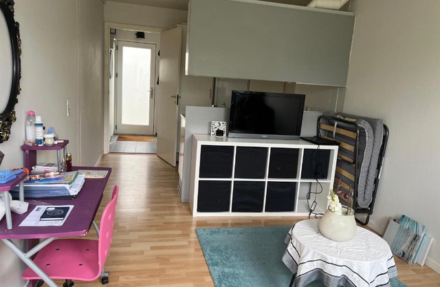 Cozy room