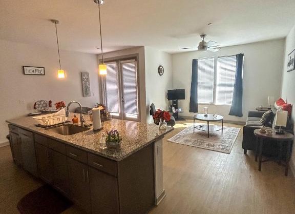 Cozy & Spacious Gem downtown Richmond, mins to VCU