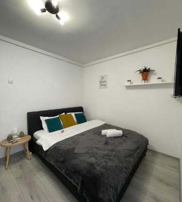Cozy Studio Apartament Zalau