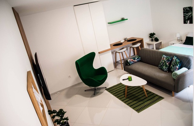 Cozy Studio apartment near city center