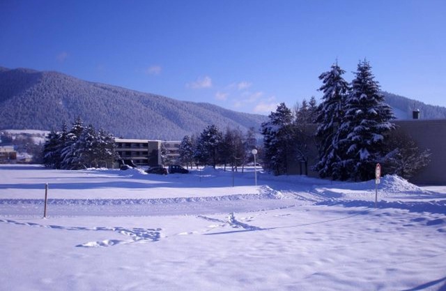 Cozy Studio Near Ski Slopes in Autrans, Balcony, Parking, 4 Guests