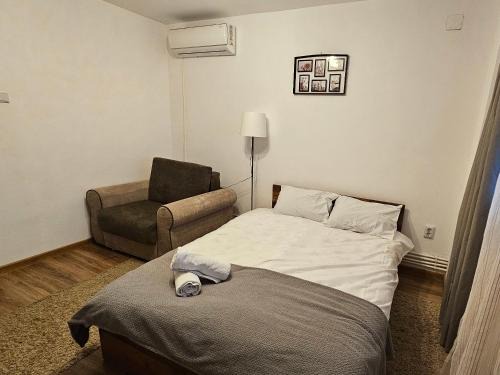 Cozy Studio