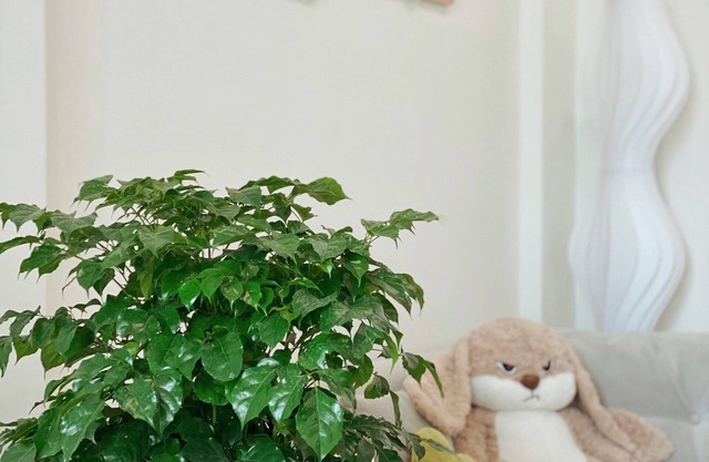 Cozy studio in pleasant Hà Nội with WiFi, AC