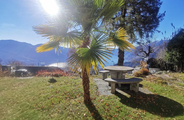Cozy vacation apartment with lake view, quiet location