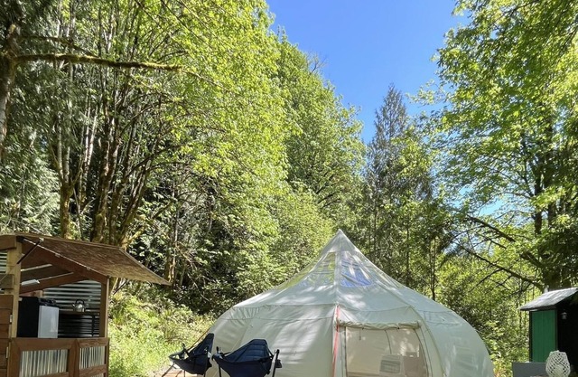 Cozy Yurt Nestled In Private Forest
