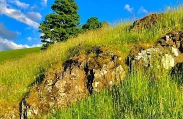 Crag End Fern Cottage, sleeps 2 guests in 1 bedroom with walking over the Lorton Fells from the doo