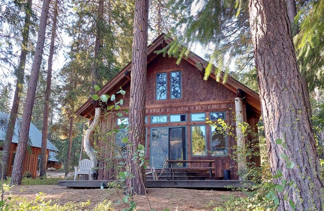 Crazy Squirrels Cabin - 1st floor with one bedroom