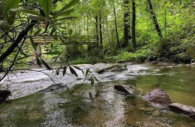 Creekside Storie. Waterfalls, Hiking, Biking, Hot Tub, Creek, Creekside Storie. Hot Tub, Cohutta For.