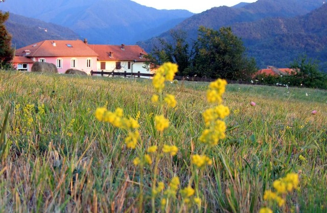 Crocevia Del Sale