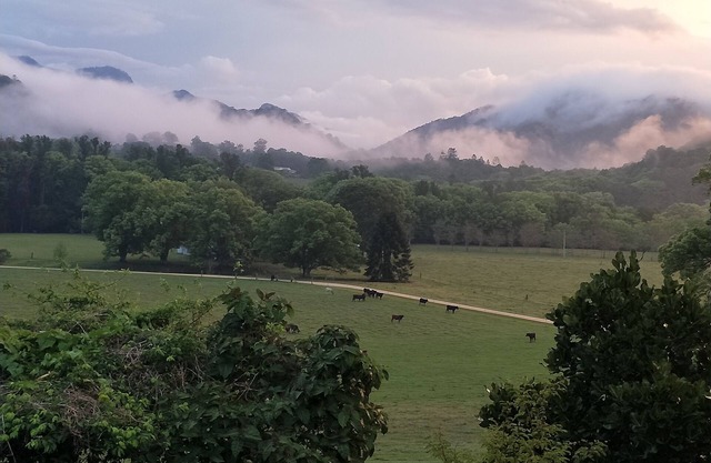 Crystal Creek Cottage- Farm stay