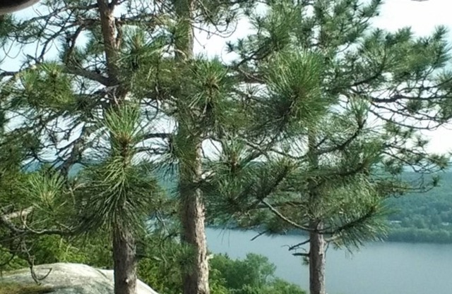 Crystal Lake Cabin