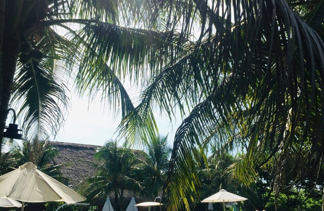 Cuc Phuong Resort
