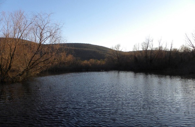 Cute Cabin in the Mountains and on River property. 2 ACs/High Speed Internet
