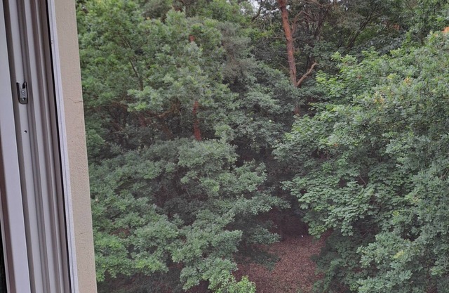 Cute vacation apartment on the edge of the forest