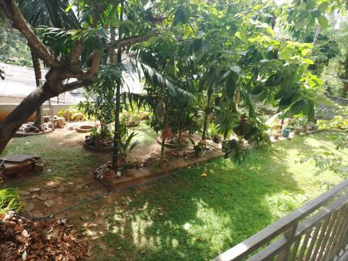 cyber city hotel kandy