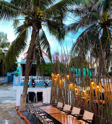 Dừa Homestay